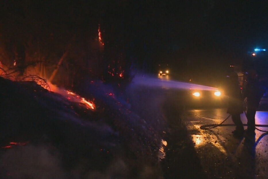 Incêndio na Mealhada