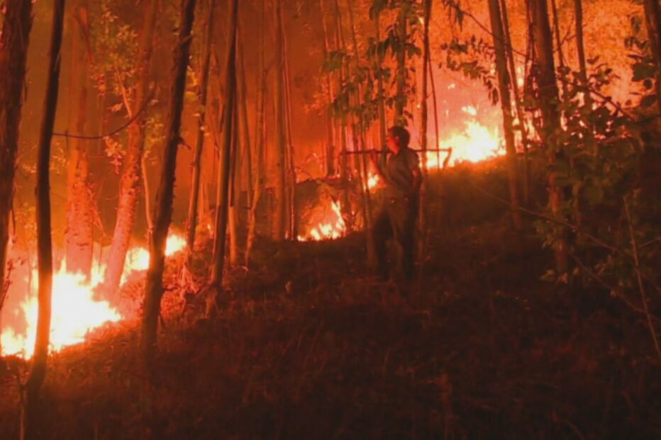 Incêndio em Ferreira do Zêzere