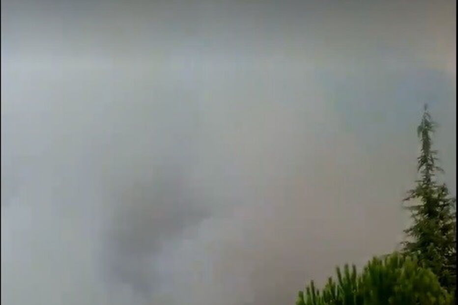 incêndio, casamento, fogo, Cantanhede, chamas. bombeiros, evacuação