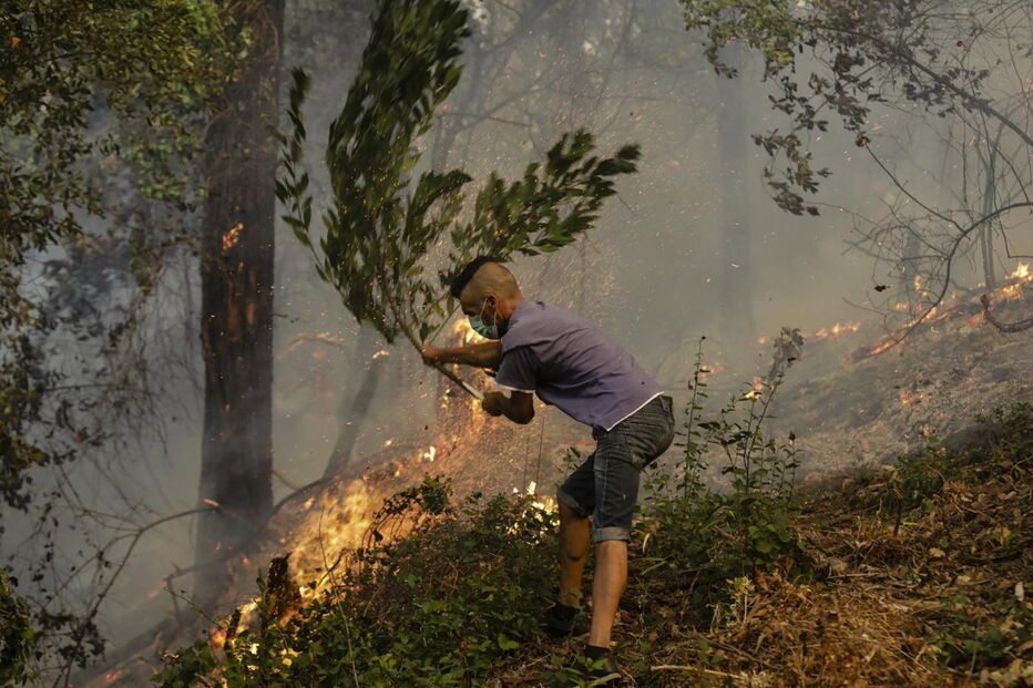 Chamas deixam populações de Cantanhede em pânico