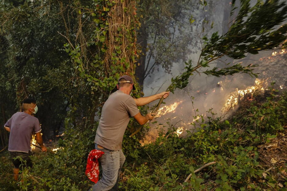 Chamas deixam populações de Cantanhede em pânico