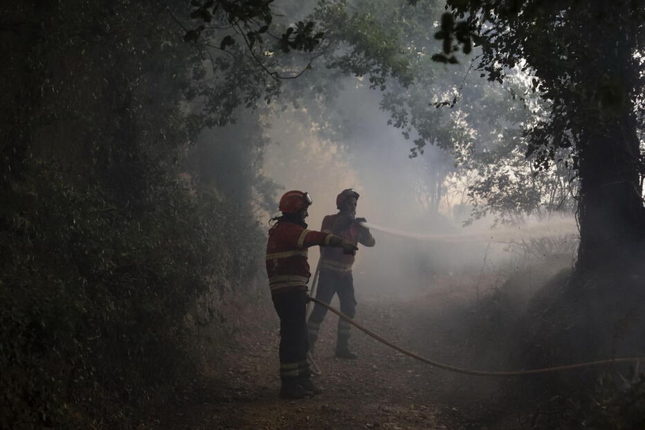 Chamas deixam populações de Cantanhede em pânico