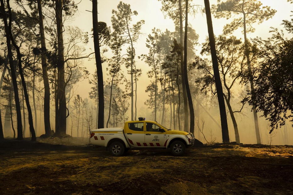 Chamas deixam populações de Cantanhede em pânico