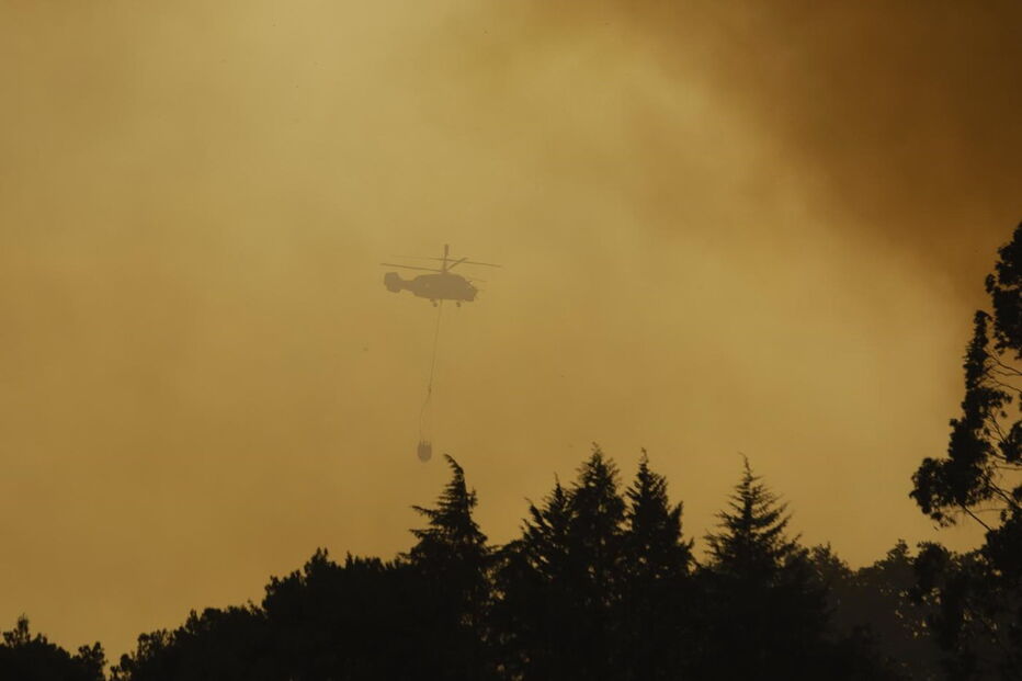 Chamas deixam populações de Cantanhede em pânico