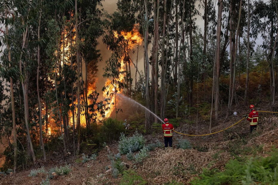 Fogo em Coimbra