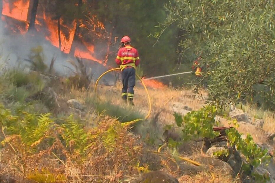 Incêndio em Castelo Branco
