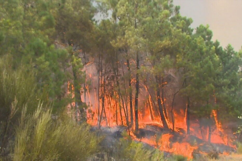 Incêndio em Castelo Branco