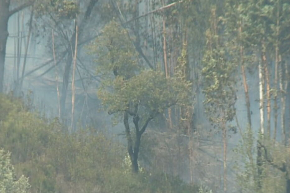 Incêndio em Sabrosa