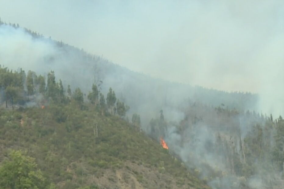 Incêndio em Sabrosa