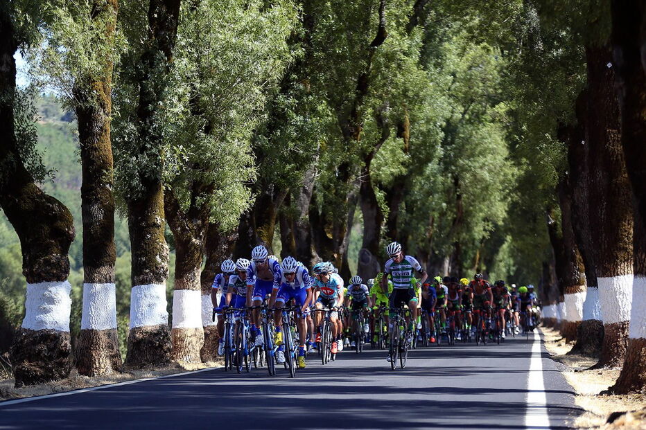Veja as melhores imagem da Volta a Portugal em bicicleta