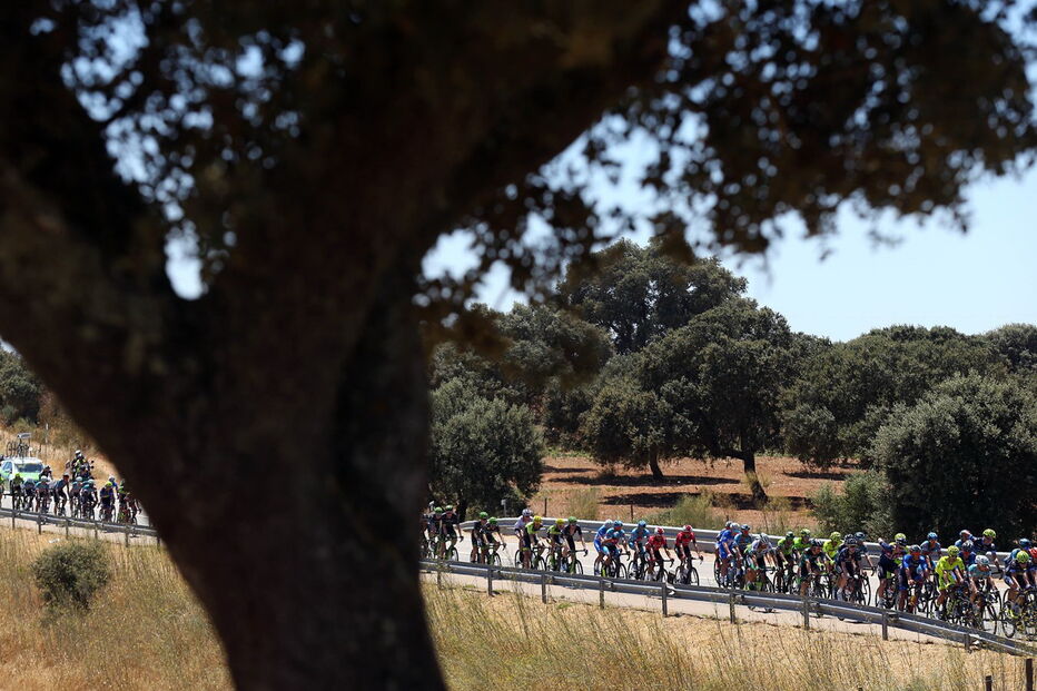 Veja as melhores imagem da Volta a Portugal em bicicleta