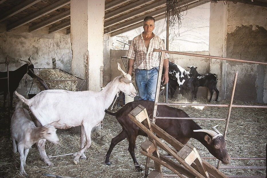 António Teixeira tem recorrido a um poço para alimentar as cabras e ovelhas 