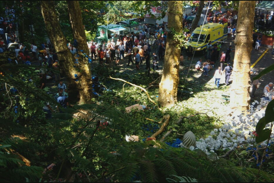 Árvore cai e mata 13 pessoas durante romaria no Funchal