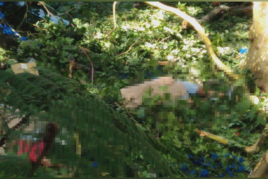 Árvore cai e mata 13 pessoas durante romaria no Funchal