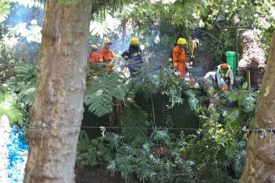 As imagens da tragédia no Funchal