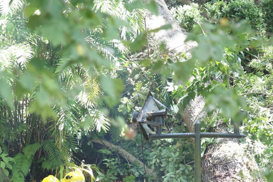 As imagens da tragédia no Funchal