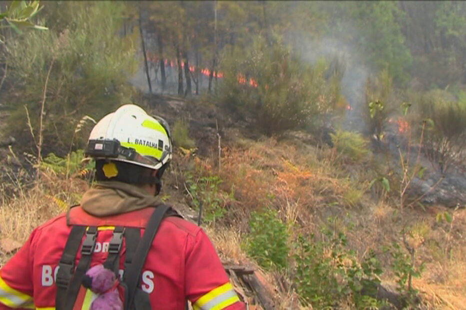Bombeiros revelam sinais de cansaço