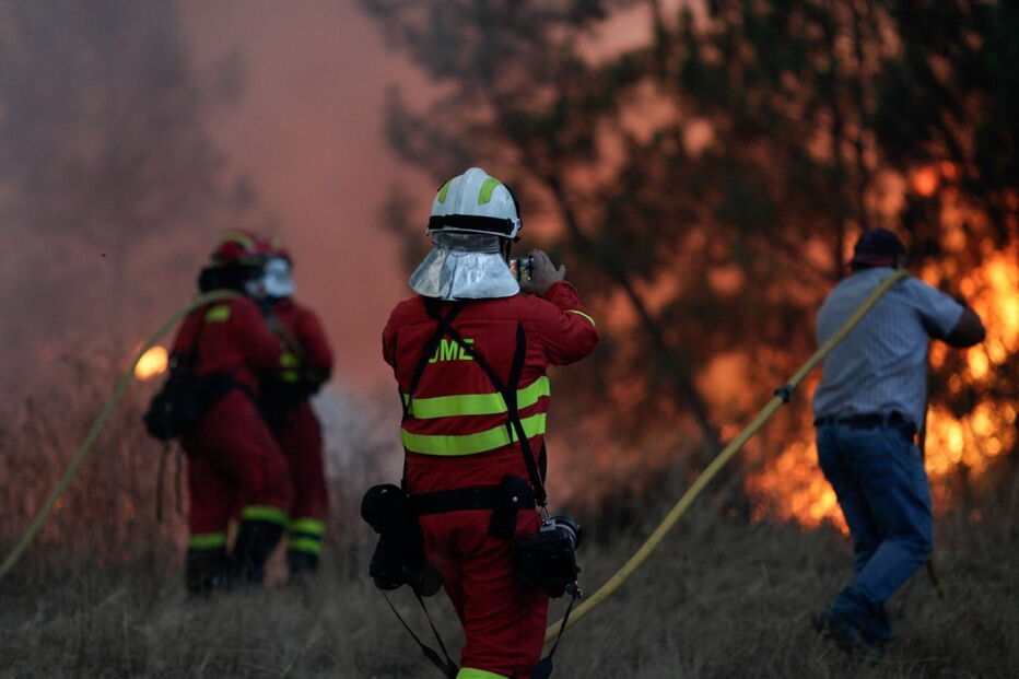 2017-08-16_15_14.11 M2-14456218.JPG