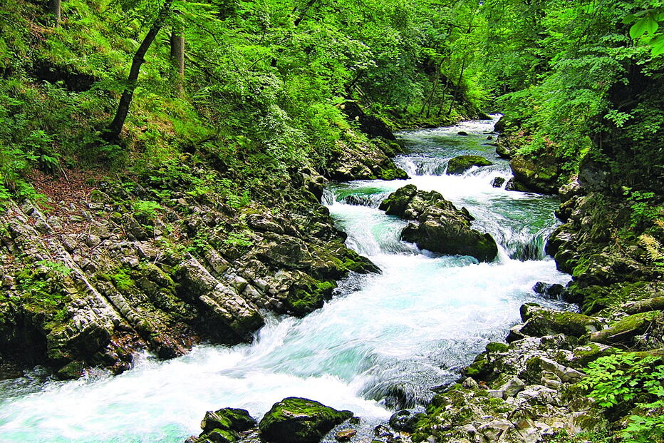 Garganta de Vintgar integra o património mundial da UNESCO   