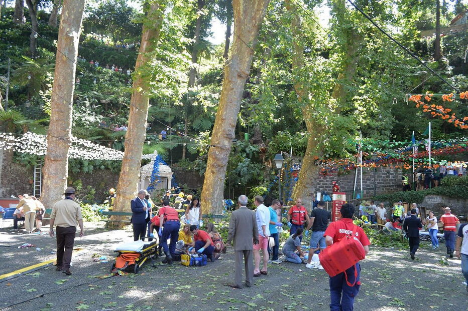 Queda de árvore na Madeira fez 13 mortos