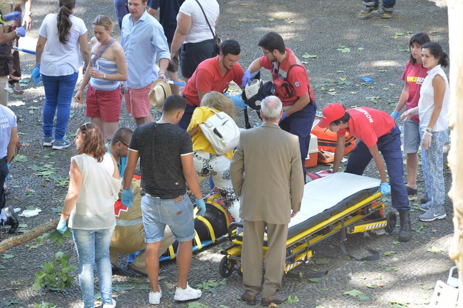 Queda de árvore na Madeira fez 13 mortos
