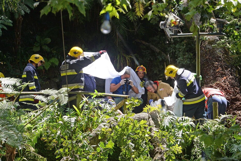 Queda de árvore na Madeira fez 13 mortos
