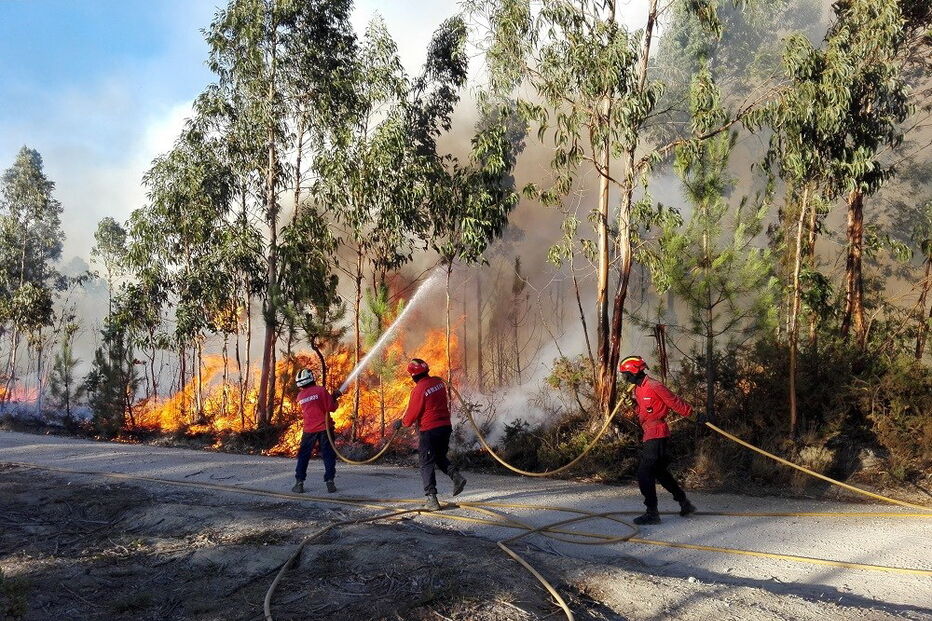Fogos em Mouriscas e Vila de Rei não deram descanso aos bombeiros