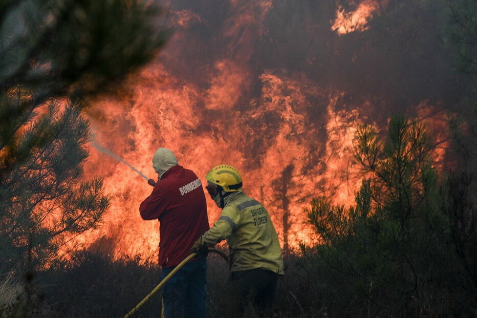 Os incêndios continuam a devastar as florestas na região Centro e Alto Alentejo, sobretudo em Mação e Gavião