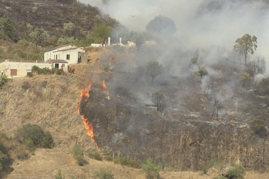 Incêndio em Gavião