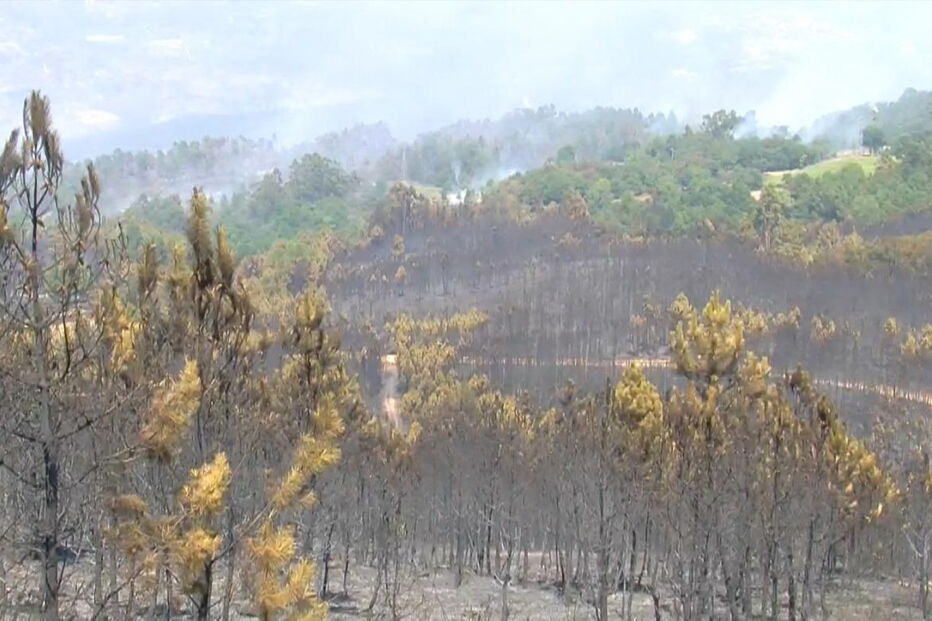Incêndio Ribeira de Pena