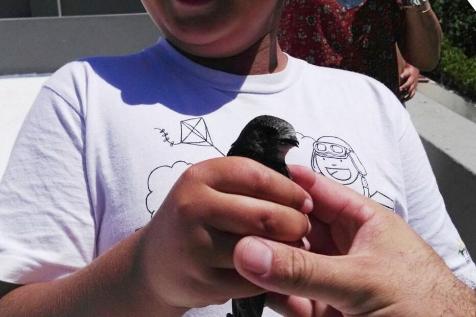 Centro de Recuperação e Investigação de Animais Selvagens