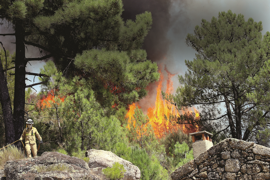 Dimensão dos fogos levou o bispo D. Anacleto Oliveira a mostrar revolta   