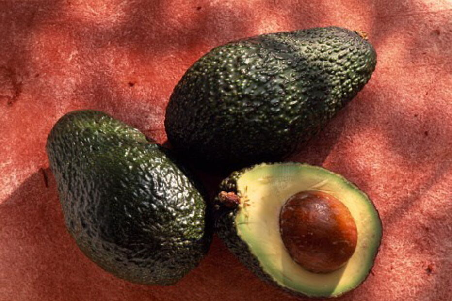 Casca do caroço do abacate