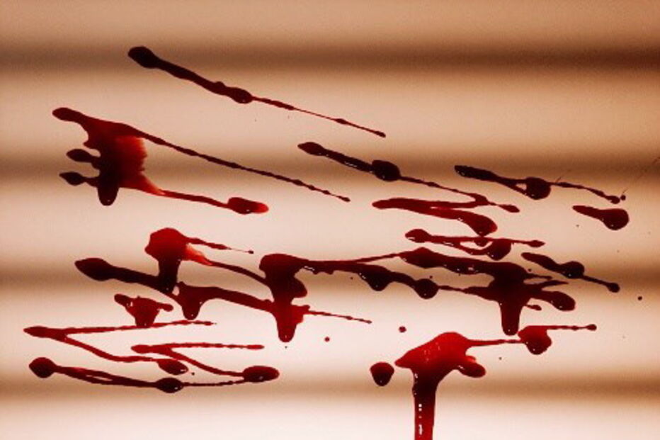 Foram encontrados corpos desmembrados na casa do canibal