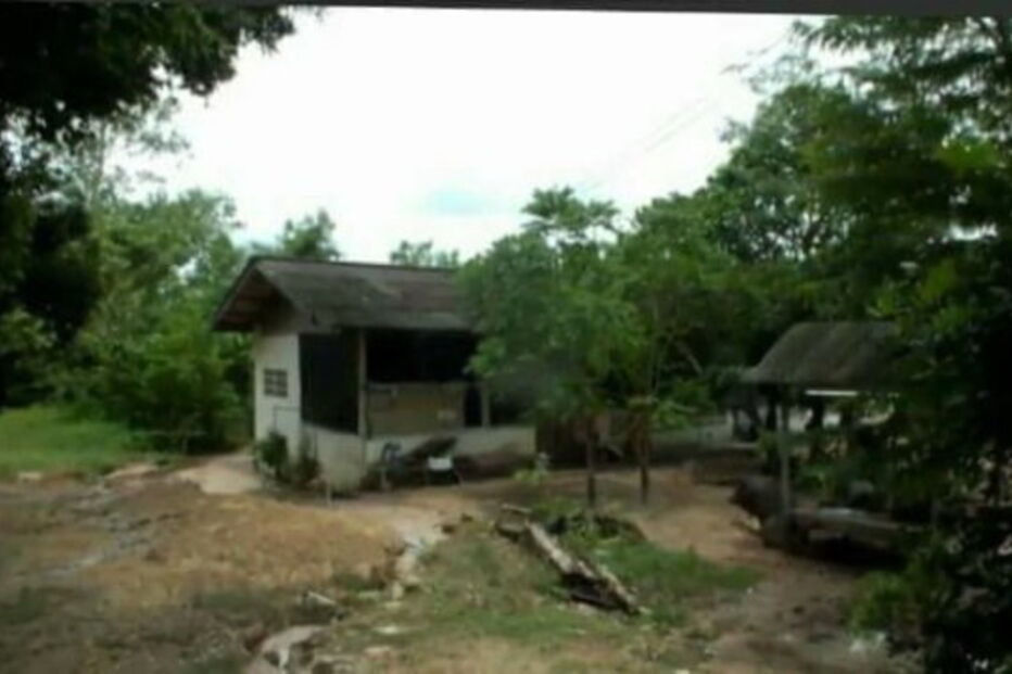 Freira foi atacada pela cobra quando foi à casa de banho