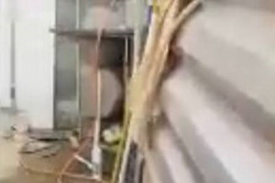 autista, deficiente mental, pai, terra, fezes, sequestro, condições desumanas, quarto, polícia, Brasil, Minas Gerais, 