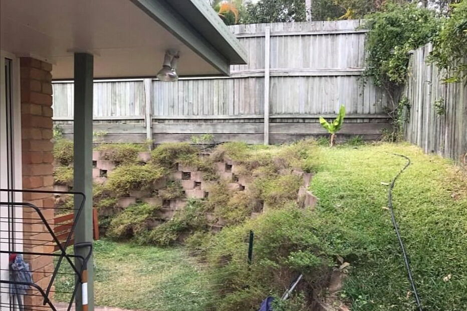 Cobra escondida num quintal