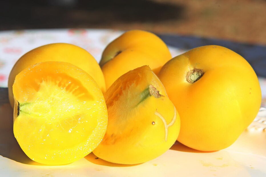 2017-08-23_23_31.11 14435132.JPG