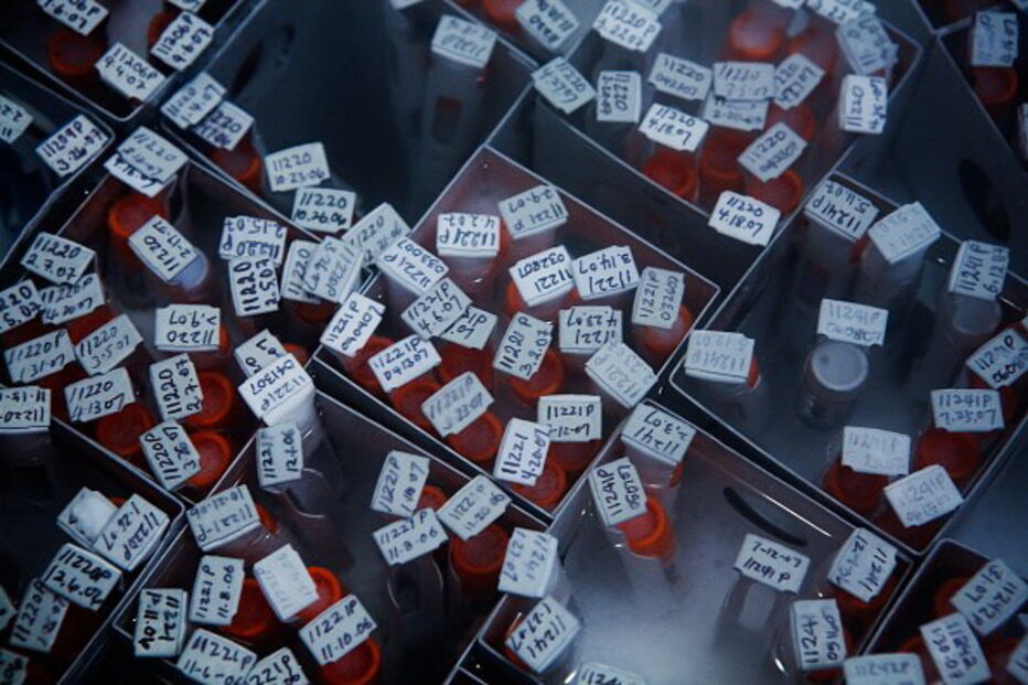 Homem doou esperma a pelo menos 11 clínicas de fertilidade e teve 102 filhos