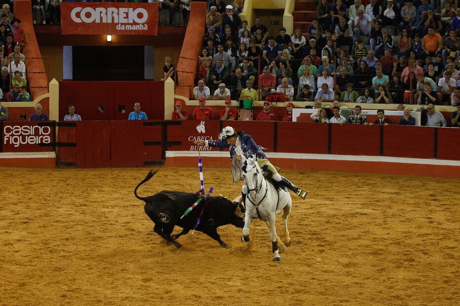 António Ribeiro Telles durante a Corrida Correio da Manhã    
