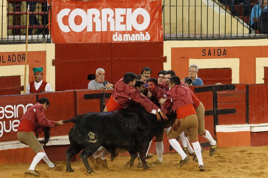 António Ribeiro Telles durante a Corrida Correio da Manhã    