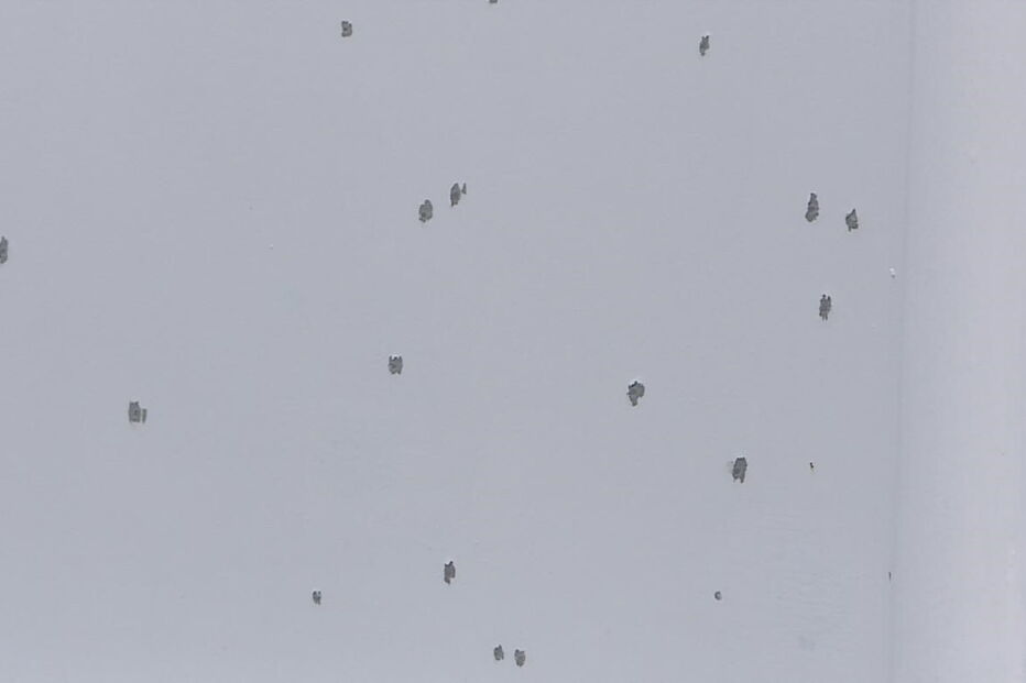 Crime junto à discoteca Selfie