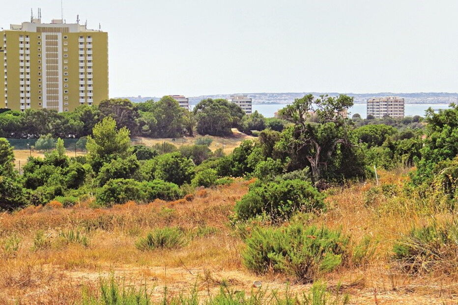 Terreno onde o grupo Pestana prevê construir uma nova unidade de cinco estrelas com abertura prevista para 2019