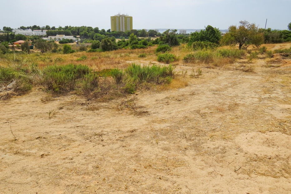 Terreno onde o grupo Pestana prevê construir uma nova unidade de cinco estrelas com abertura prevista para 2019