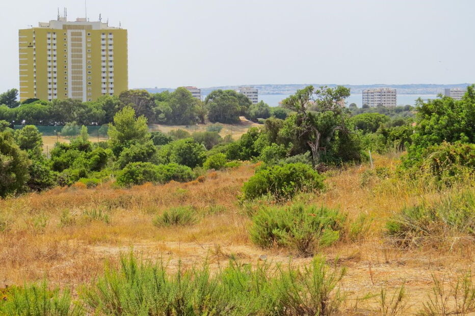 Terreno onde o grupo Pestana prevê construir uma nova unidade de cinco estrelas com abertura prevista para 2019