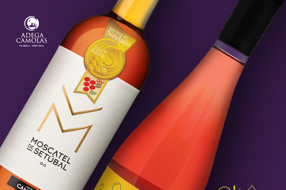 2017-08-29_15_46.22 Festa das Vindimas.png