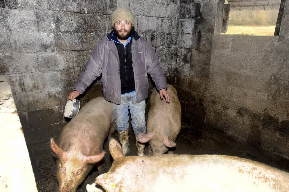 António Queirós, Casa dos Segredos, Porto, Câmara, eleições, candidatura, reality show