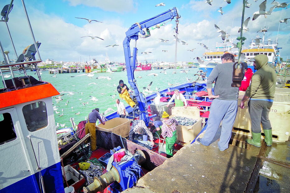 Houve uma redução da quantidade apanhada de espécies de valor mais baixo, como a sardinha e a cavala