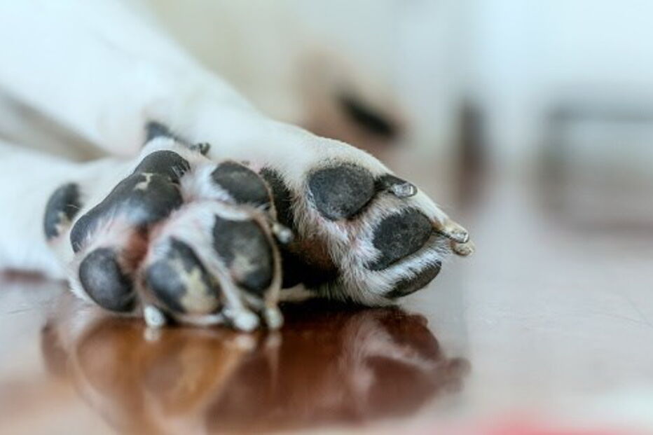 2017-08-30_09_16.04 817347440 (1).jpg