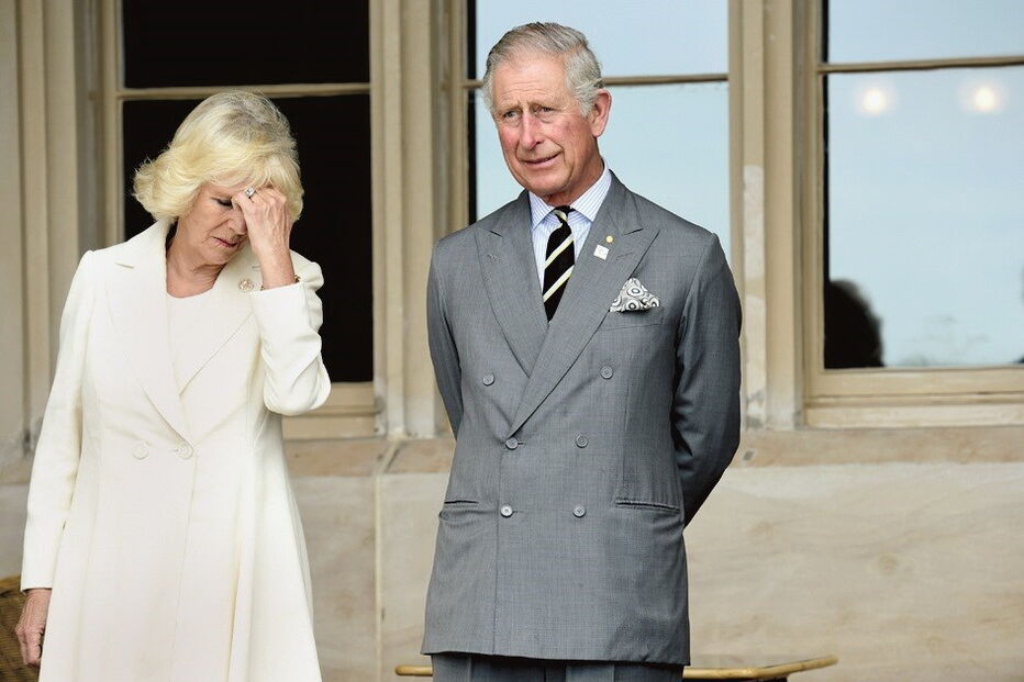 Diana sempre soube da relação extraconjugal do marido 